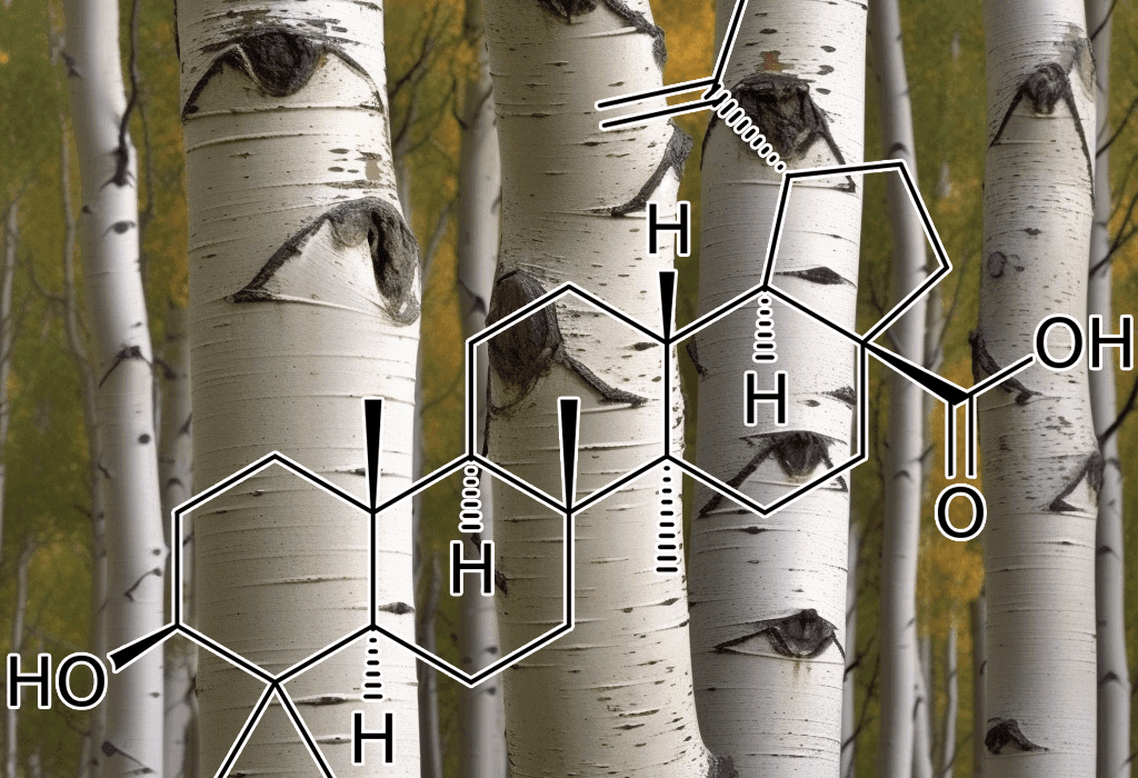 Betulinic acid by Interstellar Blends