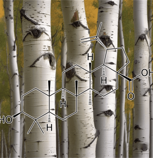 Betulinic acid by Interstellar Blends