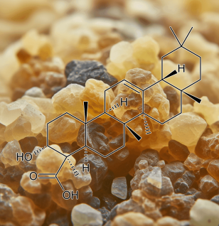 Frankincense (Boswellia carteri) – A striking image of Frankincense resin, a key component in Interstellar Blends for anti-inflammatory and respiratory benefits.