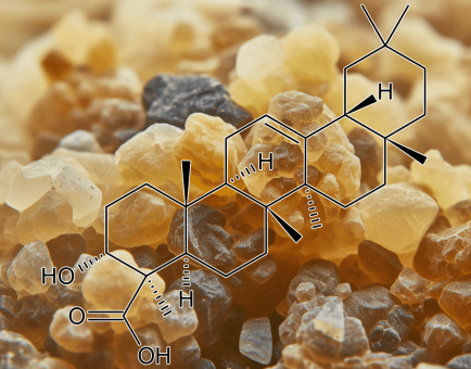 Frankincense (Boswellia carteri) – A striking image of Frankincense resin, a key component in Interstellar Blends for anti-inflammatory and respiratory benefits.