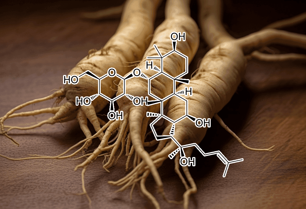 Ginsenoside Rc – Potent adaptogenic ginseng compounds in Interstellar Blends, supporting energy, brain function, and stress resilience.