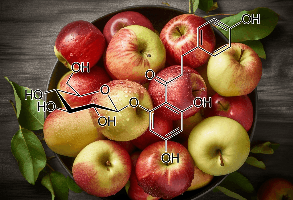 PHLORIZIN - Interstellar Blends