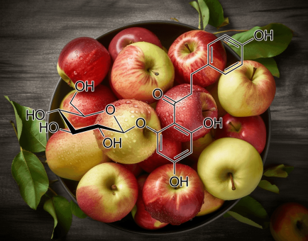 PHLORIZIN - Interstellar Blends