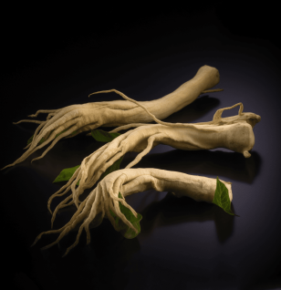 AMERICAN GINSENG - Interstellar Blends