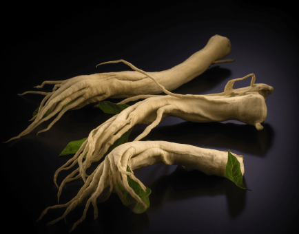 AMERICAN GINSENG - Interstellar Blends