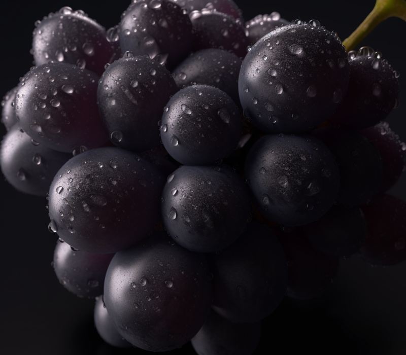 Black grape skin (Vitis vinifera) – Antioxidant-rich in Interstellar Blends, promoting heart health and reducing oxidative stress.