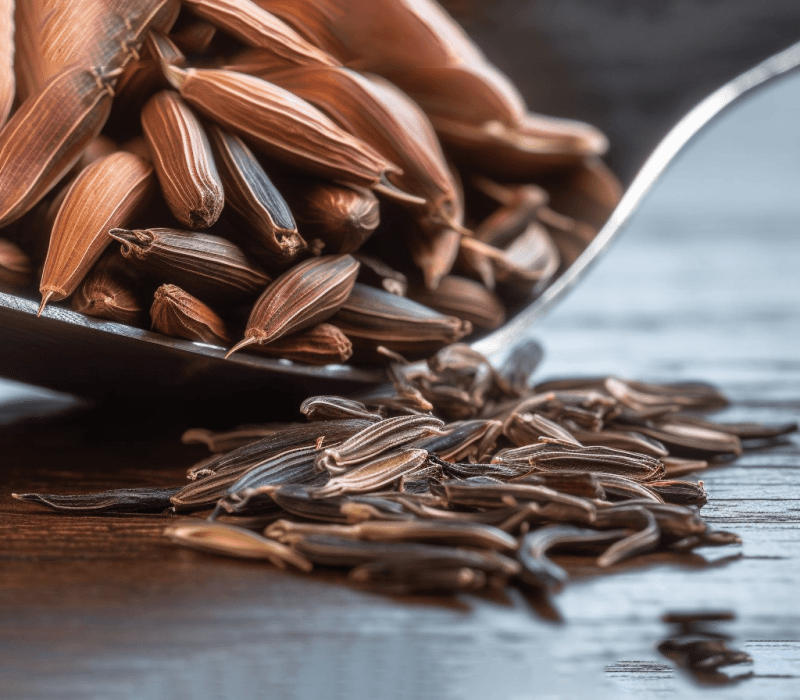 Carum carvi Linn (Caraway) – Digestive-friendly spice in Interstellar Blends, reducing bloating, gas, and indigestion.
