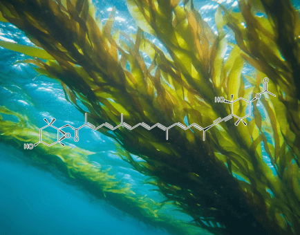 Fucoxanthin - Interstellar Blends