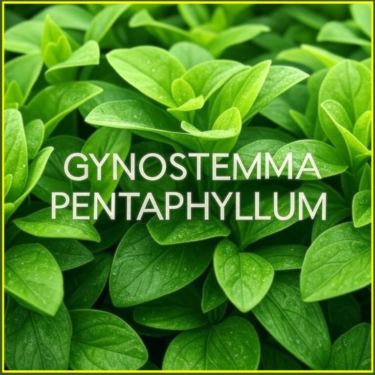 GYNOSTEMMA PENTAPHYLLUM | INTERSTELLAR BLENDS GYNOSTEMMA PENTAPHYLLUM - Interstellar Blends