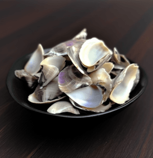 Haliotidis Concha – A high-resolution image of Haliotidis Concha (Abalone Shell), a mineral-rich ingredient in Interstellar Blends used for eye and bone health.