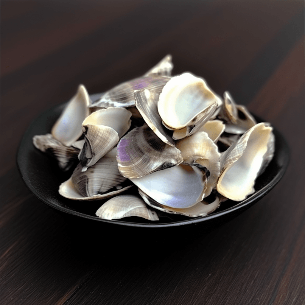 Haliotidis Concha – A high-resolution image of Haliotidis Concha (Abalone Shell), a mineral-rich ingredient in Interstellar Blends used for eye and bone health.