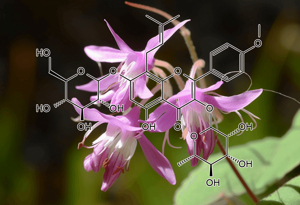Icariin – A vibrant image of Icariin, an active compound in Interstellar Blends derived from Epimedium for vitality and circulation.