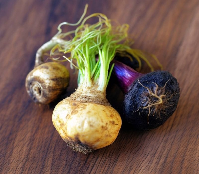 Maca root - Interstellar Blends