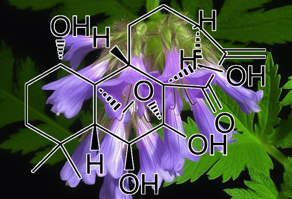 Oridonin (Rabdosia rubescens) – A bright depiction of Oridonin, a bioactive compound in Interstellar Blends for immune and cellular health.