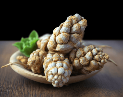 Panax notoginseng – A close-up of Panax notoginseng, an adaptogenic herb in Interstellar Blends known for blood circulation and recovery.
