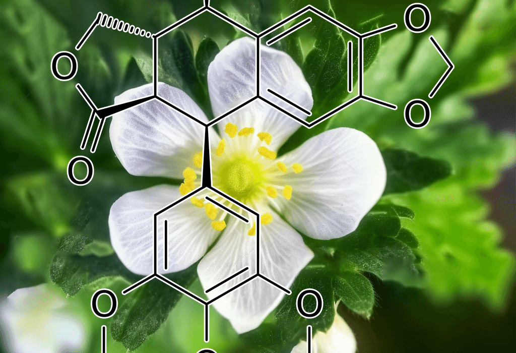 Podophyllotoxin (Podophyllyum emodi) – A bright depiction of Podophyllotoxin, a plant-derived compound in Interstellar Blends with antiviral and cytotoxic properties.