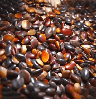 Semen Hoveniae - Interstellar Blends