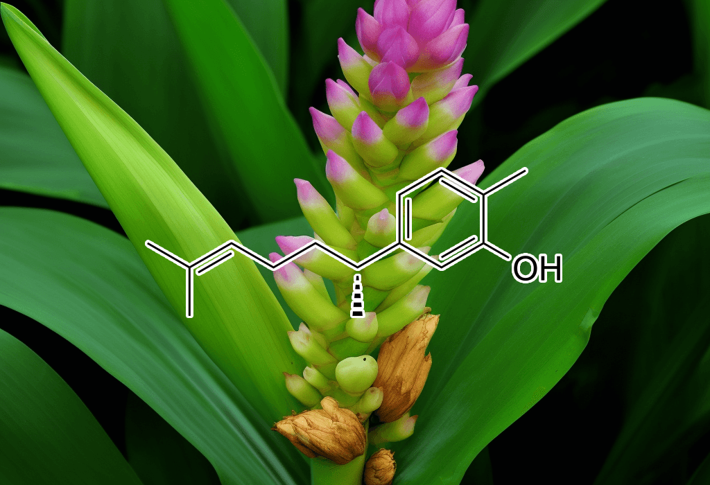 Xanthorrhizol compound illustration, a bioactive compound derived from Curcuma xanthorrhiza featured in Interstellar Blends' herbal formulas, known for its antimicrobial, anti-inflammatory, and anticancer properties