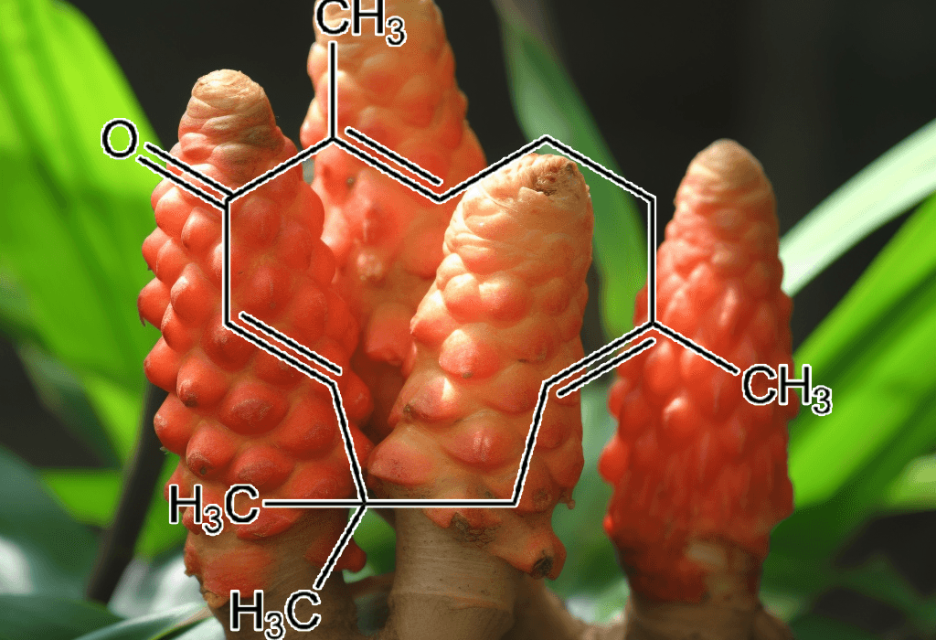 Zerumbone (From Zingiber zerumbet) – A close-up of Zerumbone, an anti-inflammatory and anticancer compound in Interstellar Blends derived from wild ginger.