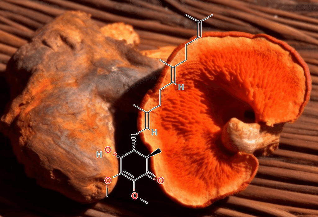 A high-resolution shot of Antroquinonol, a rare bioactive compound in Interstellar Blends known for cellular regeneration and immune support.