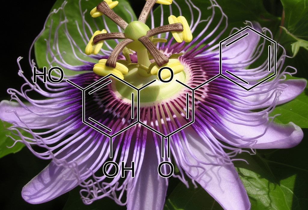 Chrysin and Tectochrysin (Alpinia oxyphylla) – Testosterone-enhancing flavonoids in Interstellar Blends, reducing anxiety and inflammation.