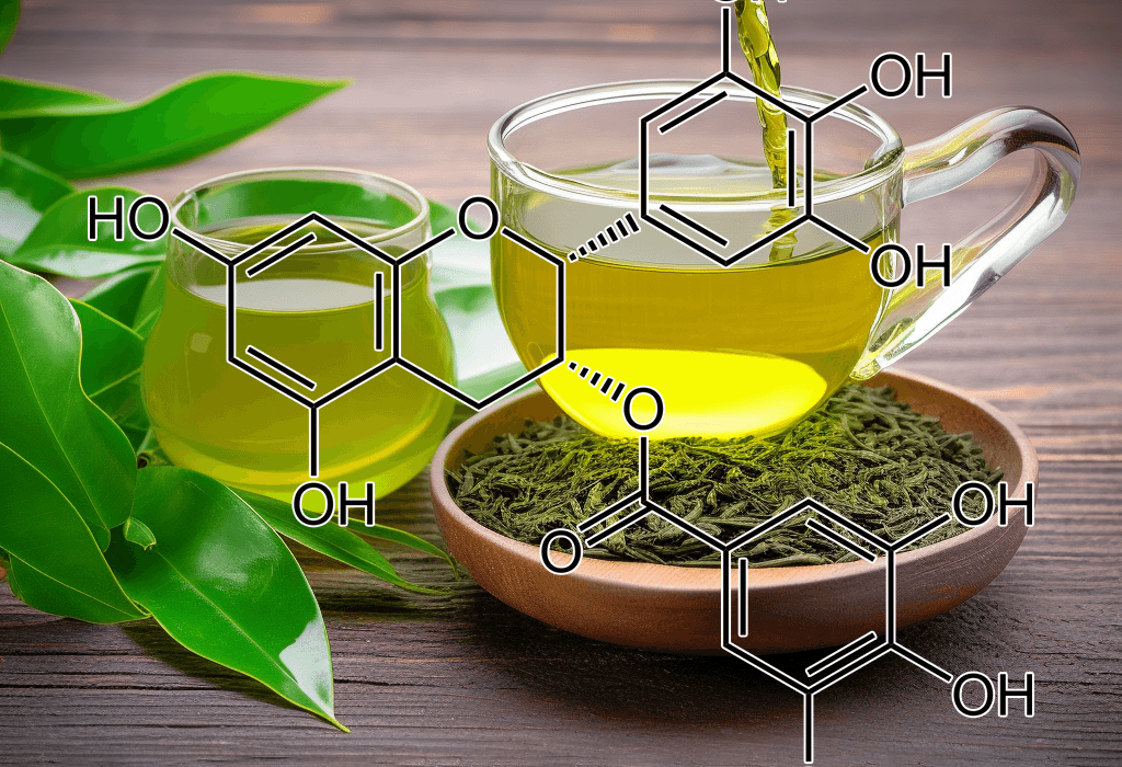 Epigallocatechin gallate (EGCG) – A close-up of EGCG from green tea, featured in Interstellar Blends for its potent antioxidant benefits.
