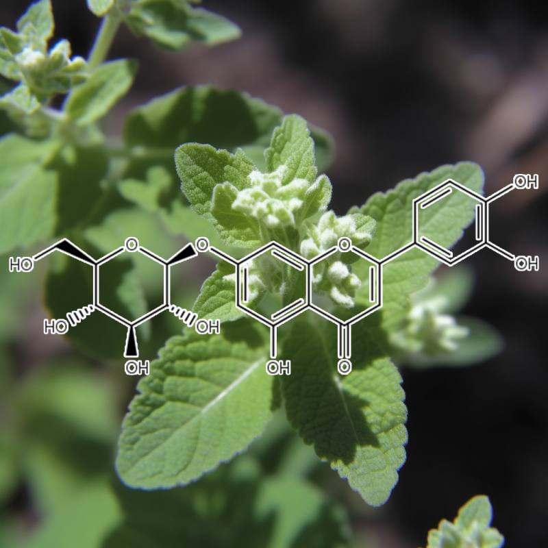 Luteolin – A detailed image of Luteolin, a flavonoid in Interstellar Blends for neuroprotection and antioxidant effects.