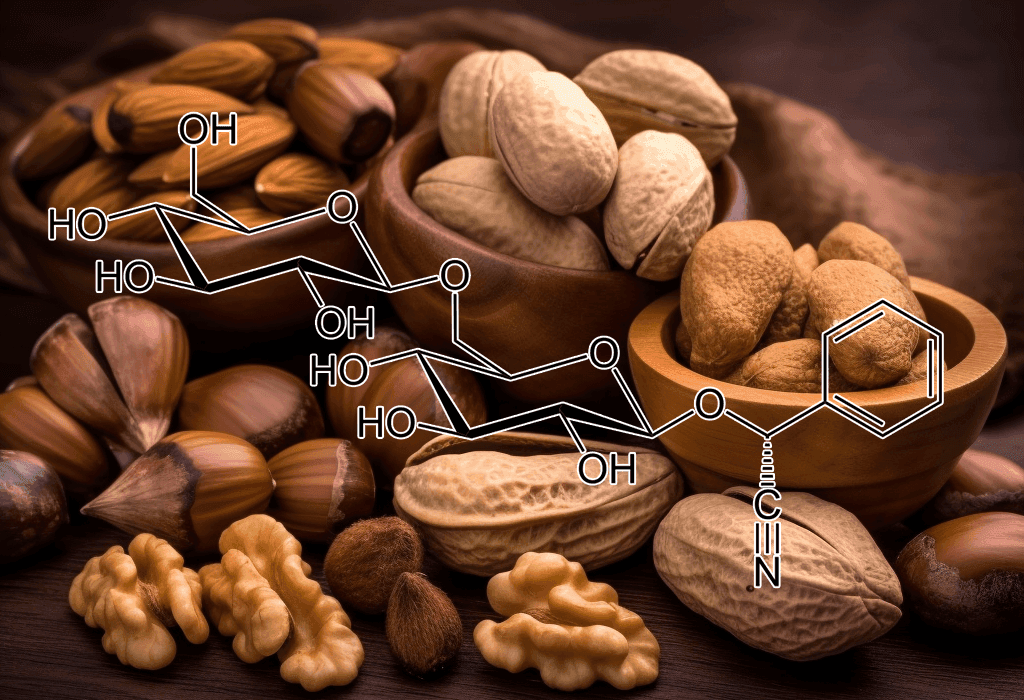 Amygdalin (Semen-Persicae) – Vital in Interstellar Blends for its potential anti-cancer properties, immune modulation, and metabolic support.