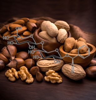 Amygdalin (Semen-Persicae) – Vital in Interstellar Blends for its potential anti-cancer properties, immune modulation, and metabolic support.