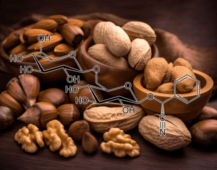 Amygdalin (Semen-Persicae) – Vital in Interstellar Blends for its potential anti-cancer properties, immune modulation, and metabolic support.