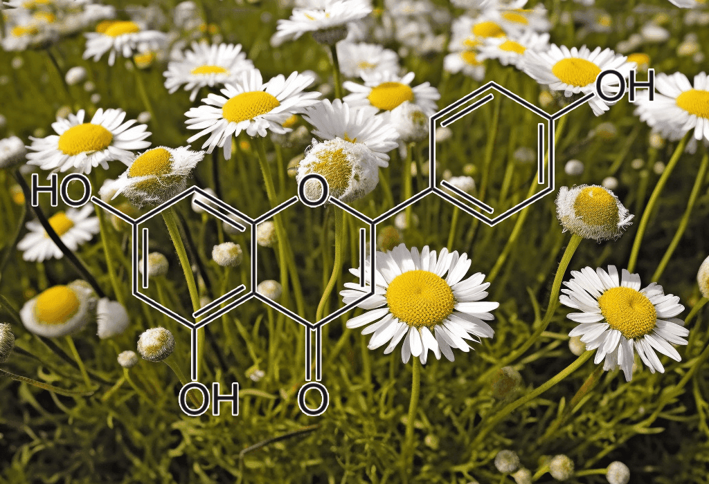 Apigenin – Bioactive flavonoid in Interstellar Blends, supporting cellular health, reducing stress, and promoting relaxation.