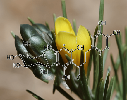 ASPALATHIN - Interstellar Blends