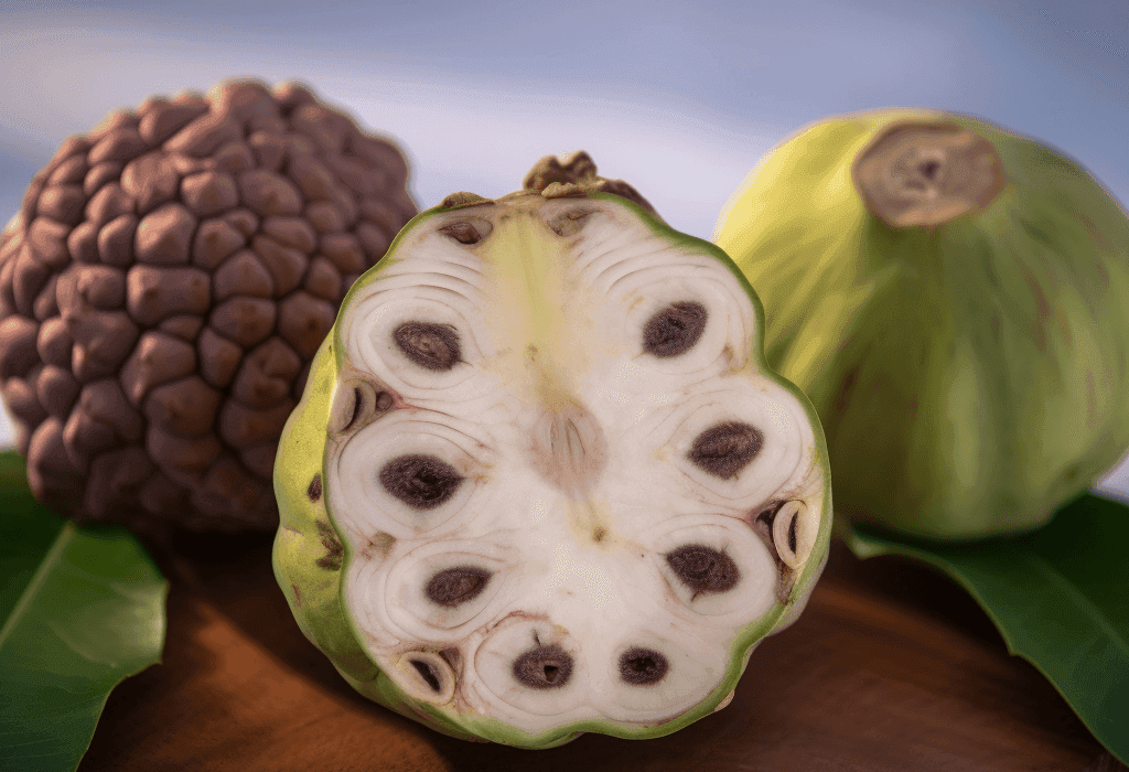 Cherimoya (Annona cherimola) – The ‘Custard Apple’ of the Gods. A lush, green fruit with velvety soft flesh, revered for its rich antioxidants and adaptogenic properties. Perfect for Interstellar Blends’ herbal formulations, enhancing vitality and cosmic well-being.