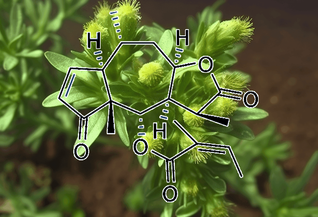 BREVILIN A plant - Interstellar Blends