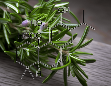 Carnosic acid – Neuroprotective compound in Interstellar Blends, combating cognitive decline and oxidative stress.