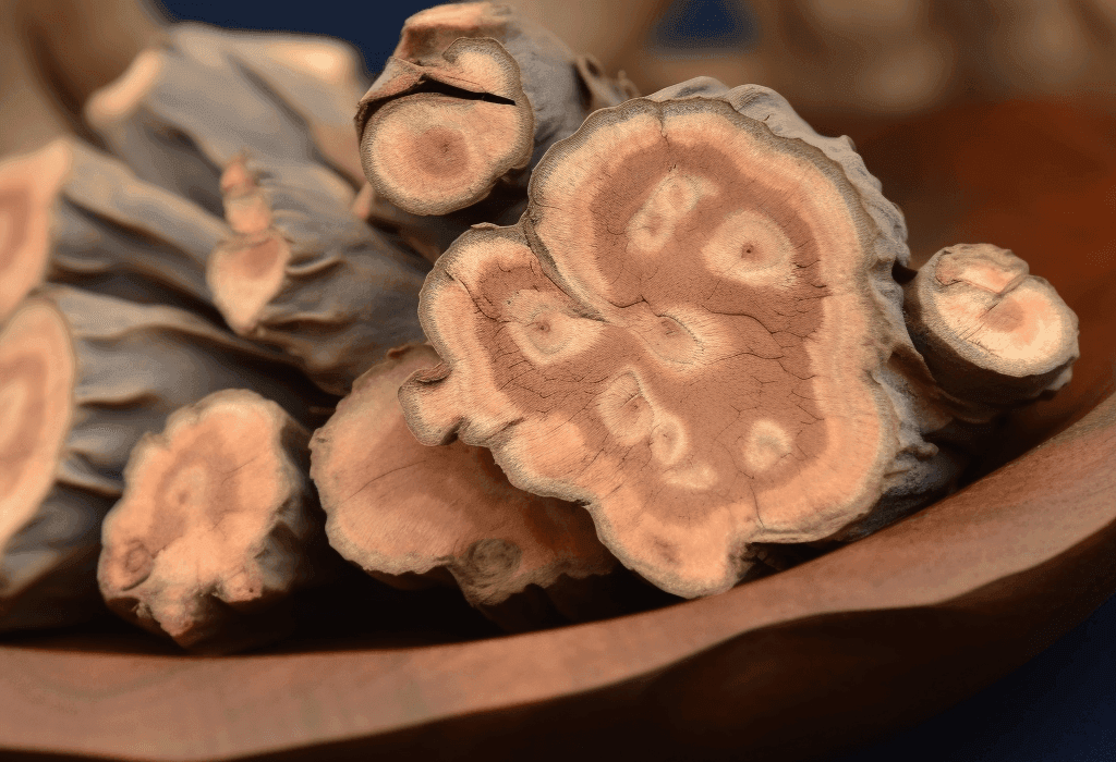 Caulis polygoni multiflori - Interstellar Blends