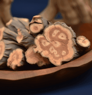 Caulis polygoni multiflori - Interstellar Blends