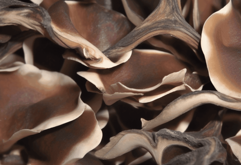 Deer Velvet Antler - Interstellar Blends