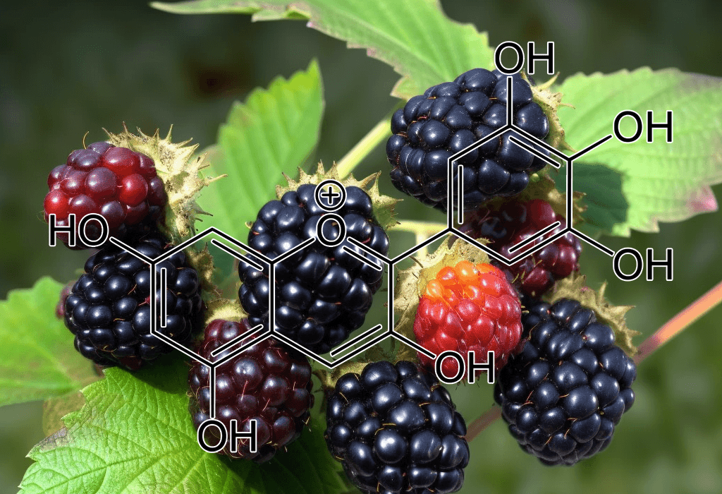 Delphinidin-3-O-β-Glucoside – Antioxidant-rich pigment in Interstellar Blends, reducing oxidative stress and supporting brain function.