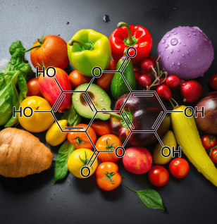 ELLAGIC ACID source - Interstellar Blends
