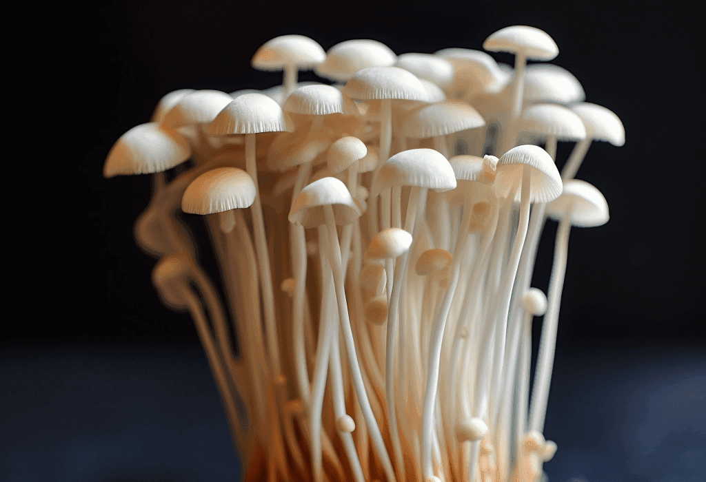 Enokitake - Interstellar Blends