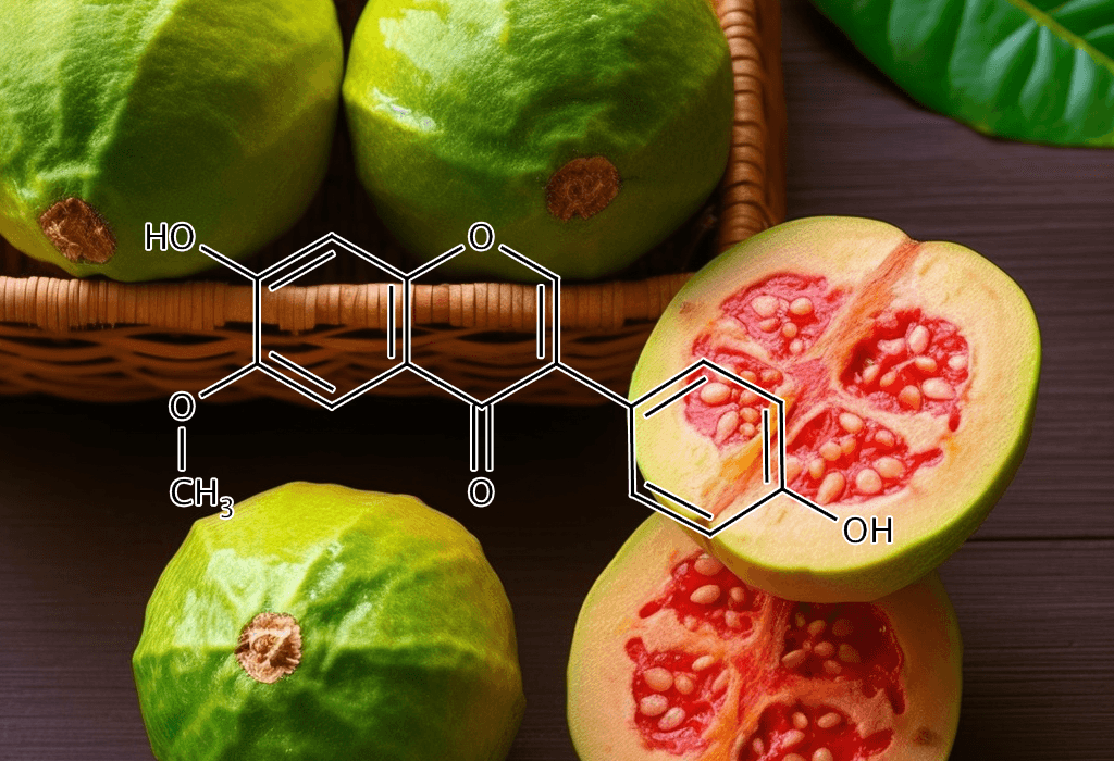 GLYCITEIN Psidium guajava - Interstellar Blends
