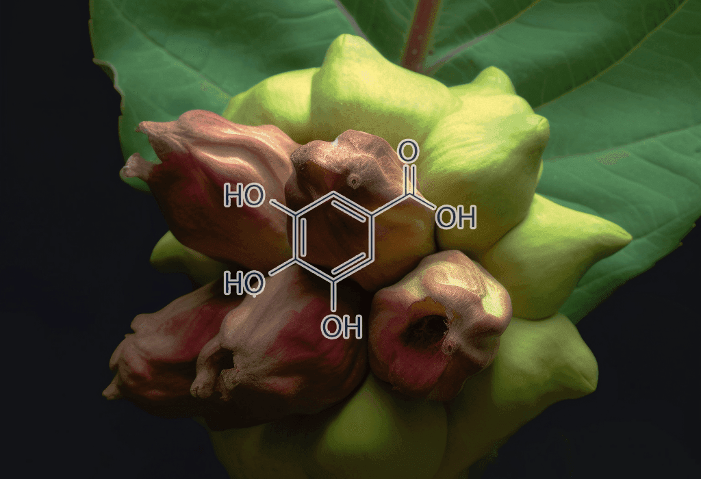 Gallic Acid - Interstellar Blends