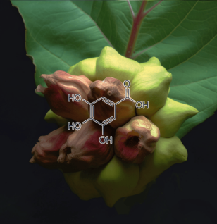 Gallic Acid - Interstellar Blends