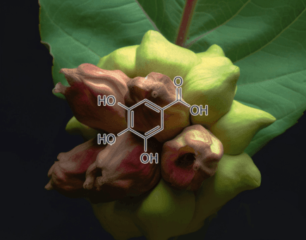 Gallic Acid - Interstellar Blends