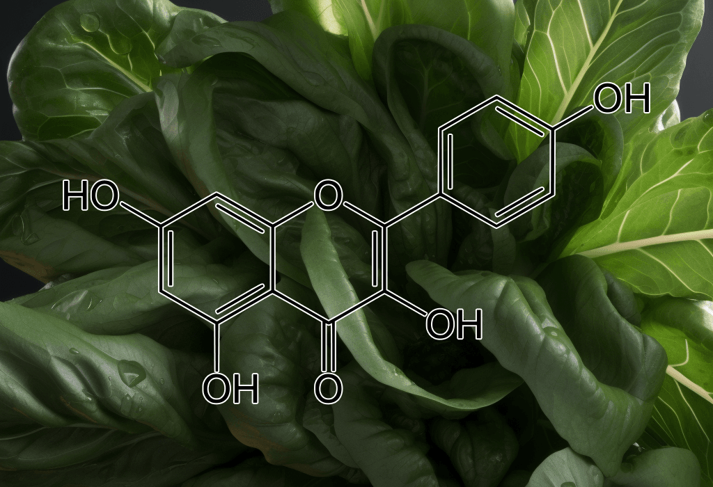 Kaempferol – Anti-inflammatory compound in Interstellar Blends, promoting cardiovascular health and cellular protection.