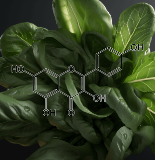 Kaempferol – Anti-inflammatory compound in Interstellar Blends, promoting cardiovascular health and cellular protection.