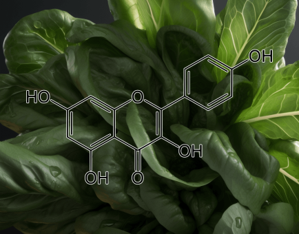 Kaempferol – Anti-inflammatory compound in Interstellar Blends, promoting cardiovascular health and cellular protection.