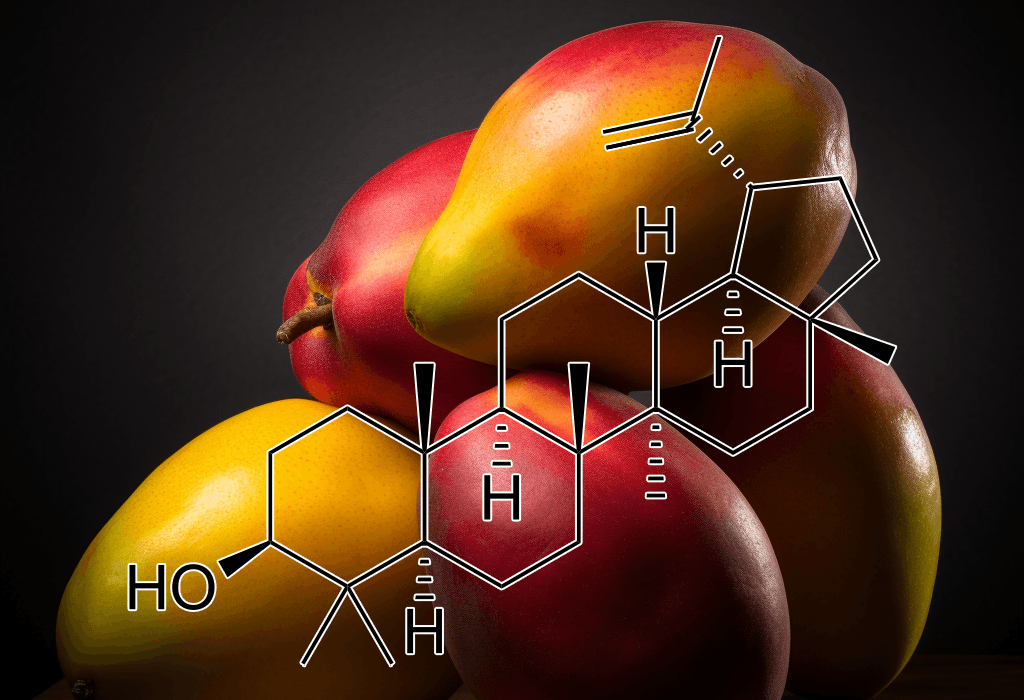 Lupeol – A high-resolution photo of Lupeol, a triterpenoid in Interstellar Blends known for its anti-inflammatory and anticancer potential.