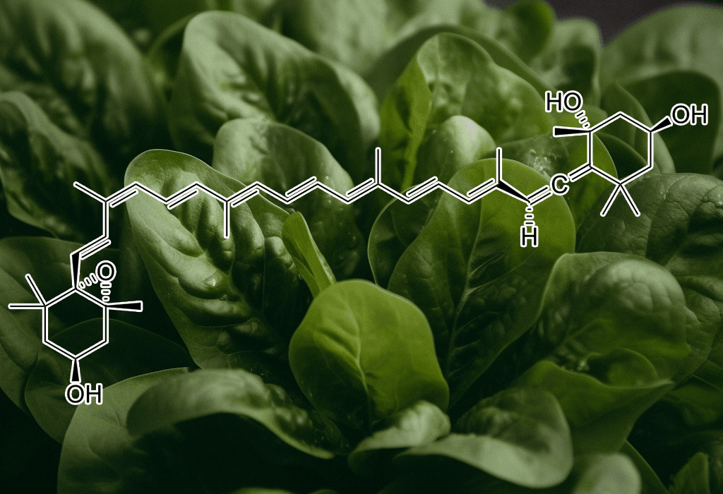 Neoxanthin compound illustration, a naturally occurring carotenoid featured in Interstellar Blends' herbal formulas, known for its antioxidant, anti-inflammatory, and potential anticancer properties